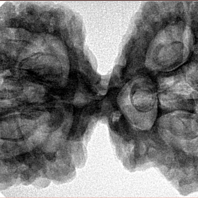 9 Mukhi Mini Trijuti 42.7mm 9.93gm - Inverse xray