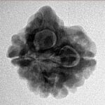 3 Mukhi Ganesh 22.6mm 3.04gm - Inverse xray