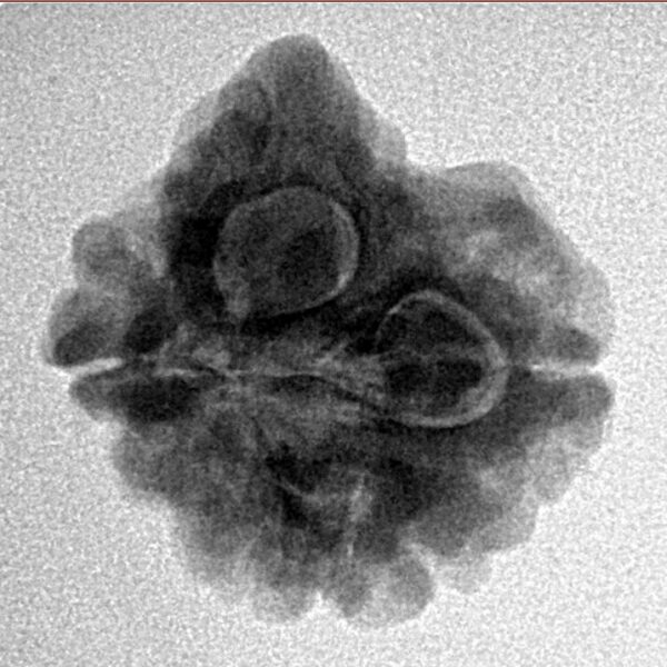 3 Mukhi Ganesh 22.6mm 3.04gm - Inverse xray