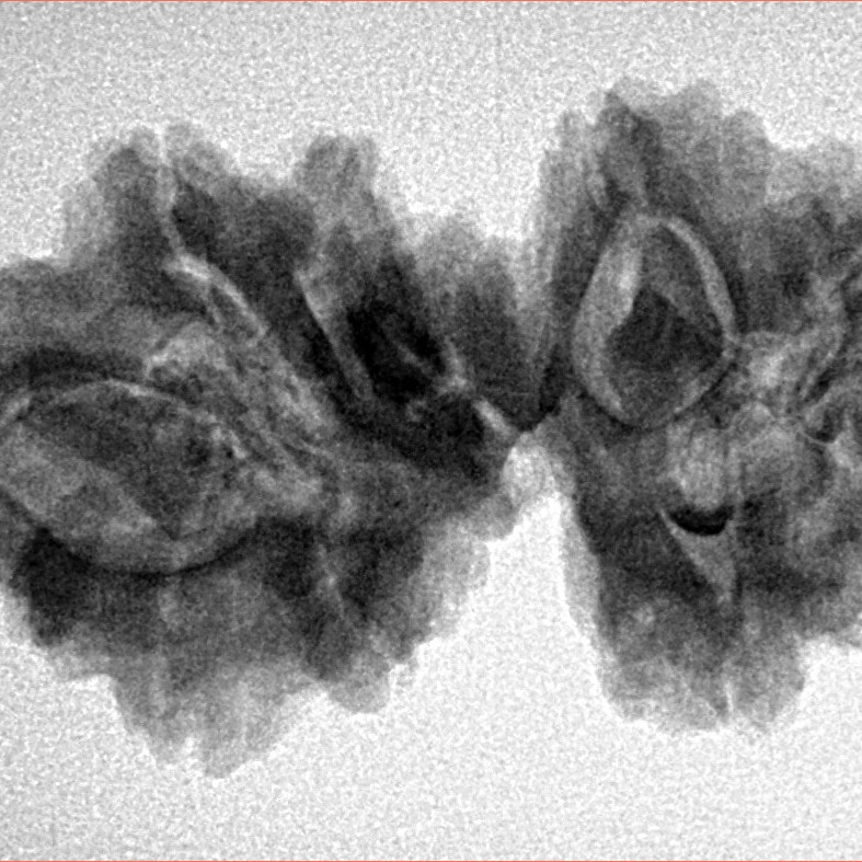 9 Mukhi Mini Trijuti 32mm 5gm - Inverse xray