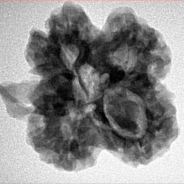 ( U/D ) Ganesh 25.7mm 2.85gm - Inverse xray