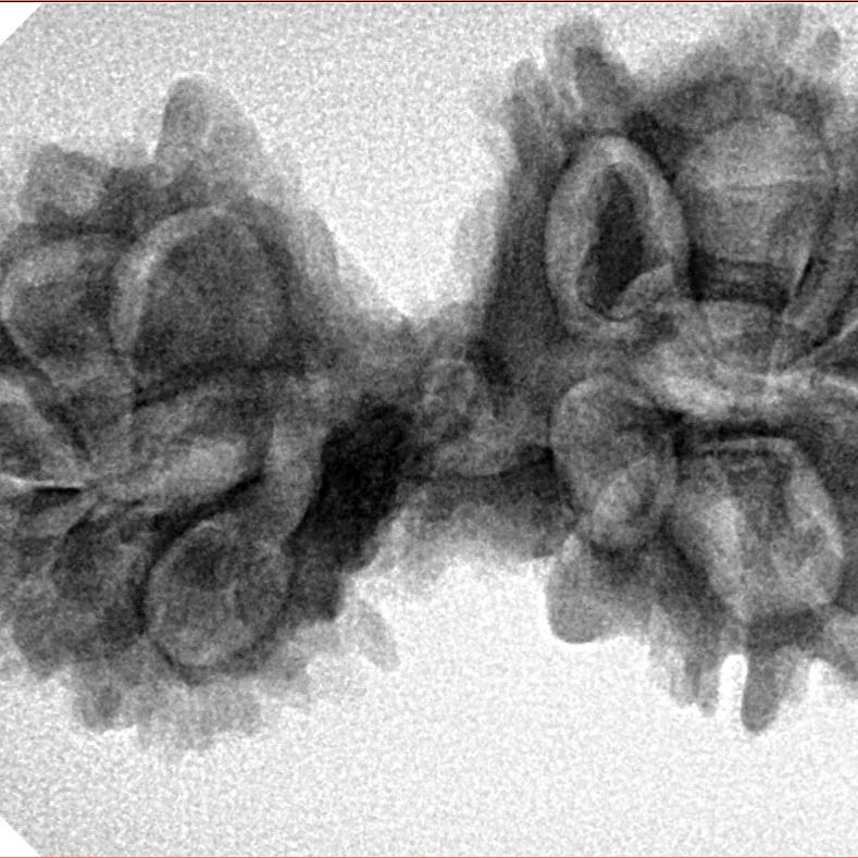 13 Mukhi Mini Trijuti 35mm 5.62gm - Inverse xray