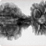 9 Mukhi Mini Trijuti 38.7mm 6.25gm - Inverse xray