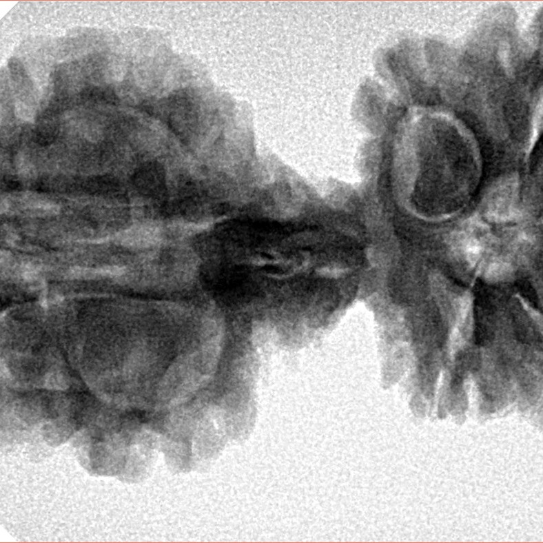 9 Mukhi Mini Trijuti 38.7mm 6.25gm - Inverse xray