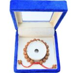 5 Mukhi Indonesian Bracelet - Mala Image