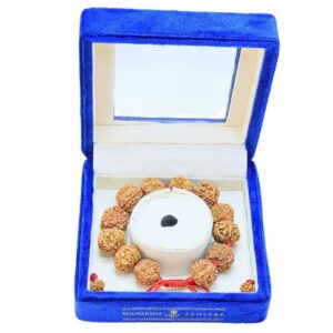 7 Mukhi Nepali Bracelet - Mala Image