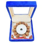 8 Mukhi Indonesian Bracelet - Mala Image