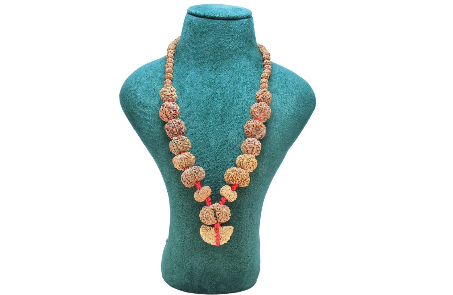 1 to 14 Mukhi Rudraksha Mala ( Siddha Mala )29.3859 - Mala Image