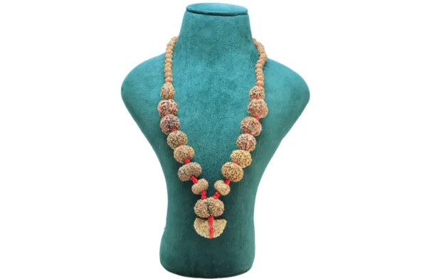 1 to 14 Mukhi Rudraksha Mala ( Siddha Mala ) - 28.3546 - Mala Image
