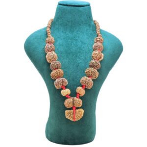 1 to 14 Mukhi Rudraksha Mala ( Siddha Mala ) - 31.7789 - Mala Image