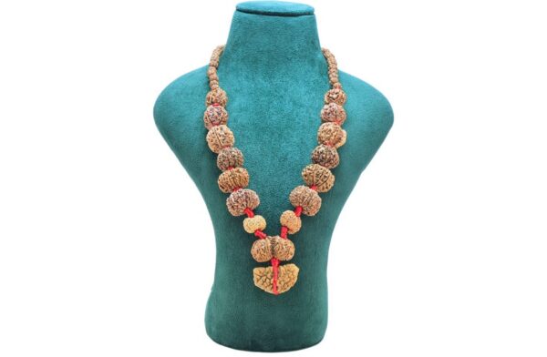 1 to 14 Mukhi Rudraksha Mala ( Siddha Mala ) - 31.7789 - Mala Image