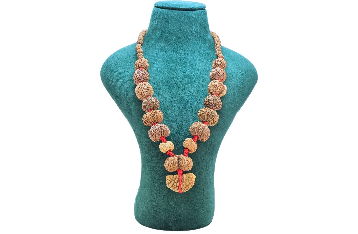 1 to 14 Mukhi Rudraksha Mala ( Siddha Mala ) - 31.7789 - Mala Image