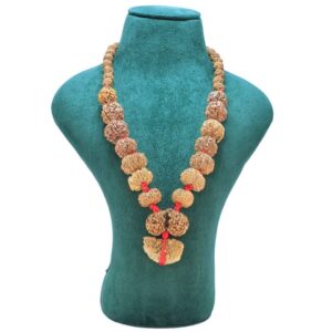 1 to 14 Mukhi Rudraksha Mala ( Siddha Mala ) 32.6089 - Mala Image