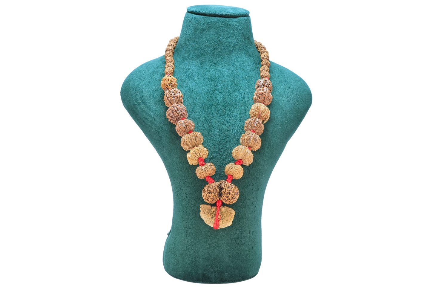 1 to 14 Mukhi Rudraksha Mala ( Siddha Mala ) 32.6089 - Mala Image