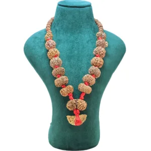 1 to 14 Mukhi Rudraksha Mala ( Siddha Mala ) 34.3685 - Mala Image