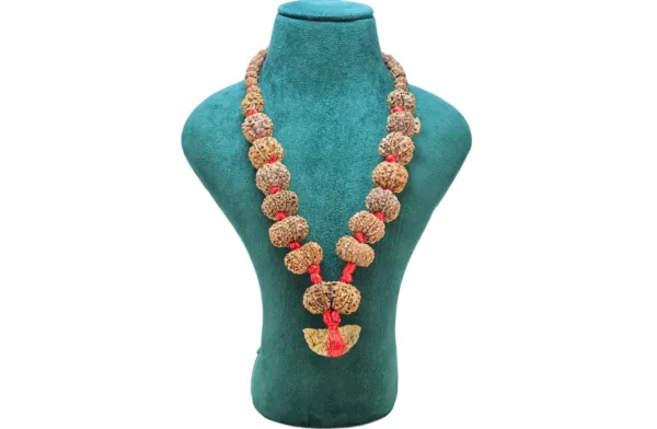 1 to 14 Mukhi Rudraksha Mala ( Siddha Mala ) 34.3685 - Mala Image