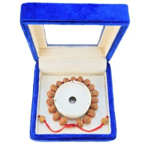 8 Mukhi Indonesian Bracelet - Certificate: DCL/2026/B/0278 - Mala Image