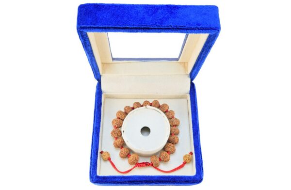 8 Mukhi Indonesian Bracelet - Certificate: DCL/2026/B/0278 - Mala Image