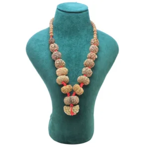 1 to 14 Mukhi Rudraksha Mala ( Siddha Mala ) 29.4356 - Mala Image
