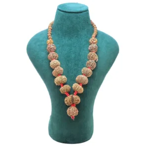 1 to 14 Mukhi Rudraksha Mala ( Siddha Mala ) 29.2345 - Mala Image
