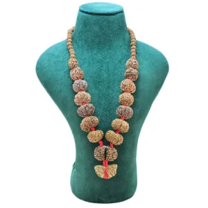 1 to 14 Mukhi Rudraksha Mala ( Siddha Mala ) 30.2865 - Mala Image