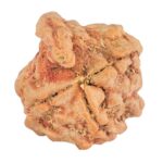 3 Mukhi Ganesh 22.6mm 3.04gm - Rudraksha back