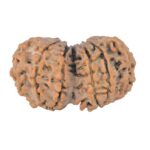 11 MK Gaurishankar 28.3mm 3.77gm - Rudraksha back