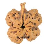 ( U/D ) Ganesh 25.7mm 2.85gm - Rudraksha back