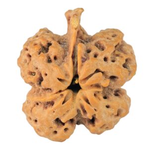 ( U/D ) Ganesh 25.7mm 2.85gm - Rudraksha back