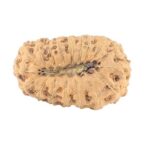 18 Mukhi Rudraksha 22.9mm 2gm - Rudraksha back