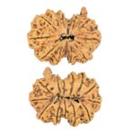 13 Mukhi G.S & Ganesh 27.9mm 3.21gm - Rudraksha
