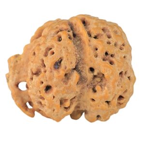 ( U/D ) Ganesh 25.7mm 2.85gm - Rudraksha