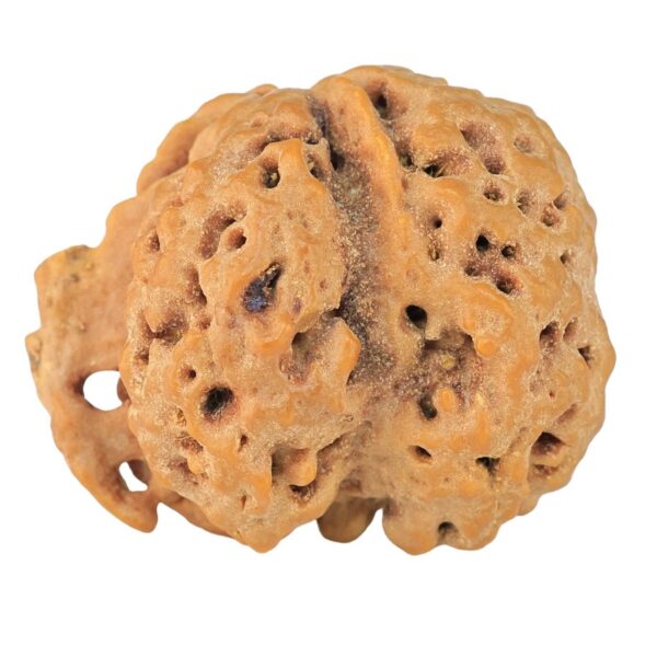 ( U/D ) Ganesh 25.7mm 2.85gm - Rudraksha