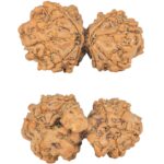 10 Mukhi Mini Trijuti 31.8mm 4.67gm - Rudraksha