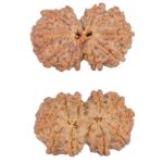 11 MK Gaurishankar 30mm 5gm - Rudraksha