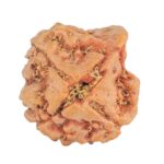 3 Mukhi Ganesh 22.6mm 3.04gm - Rudraksha
