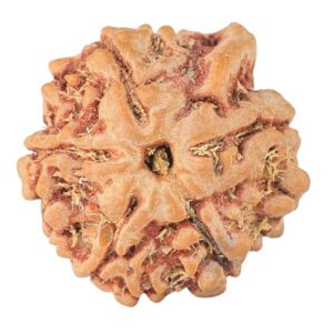 5 Mukhi Ganesh 20.3mm 3gm