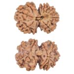 11 Mukhi G.S & Ganesh 29.1mm 5.08gm - Rudraksha