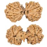 9 Mukhi Mini Trijuti 39.6mm 7.85gm - Rudraksha