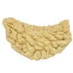1 Mukhi Rudraksha 31.4mm 2.64gm - Rudraksha