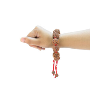 6 Mukhi Nepali Bracelet - Rudraksha Zoom Image