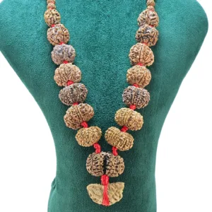 1 to 14 Mukhi Rudraksha Mala ( Siddha Mala ) 30.2865 - Rudraksha Zoom Image