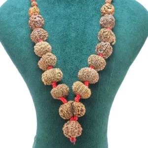 1 to 14 Mukhi Rudraksha Mala ( Siddha Mala ) 29.2345 - Rudraksha Zoom Image