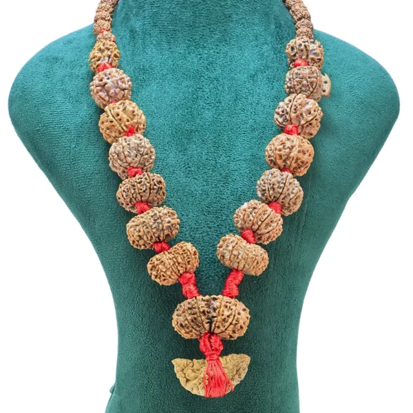 1 to 14 Mukhi Rudraksha Mala ( Siddha Mala ) 34.3685 - Rudraksha Zoom Image