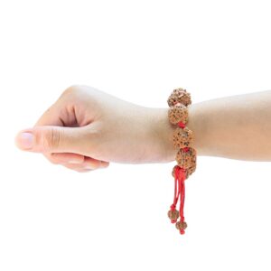 3 Mukhi Nepali Bracelet - Rudraksha Zoom Image