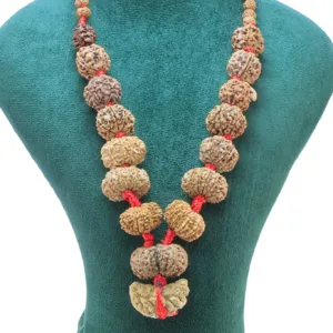 1 to 14 Mukhi Rudraksha Mala ( Siddha Mala ) 29.4356 - Rudraksha Zoom Image