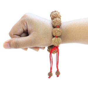 7 Mukhi Nepali Bracelet - Rudraksha Zoom Image