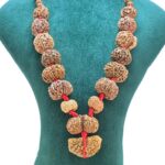 1 to 14 Mukhi Rudraksha Mala ( Siddha Mala ) - 31.7789 - Rudraksha Zoom Image