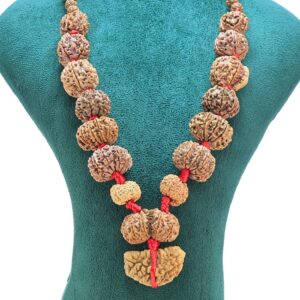 1 to 14 Mukhi Rudraksha Mala ( Siddha Mala ) - 31.7789 - Rudraksha Zoom Image