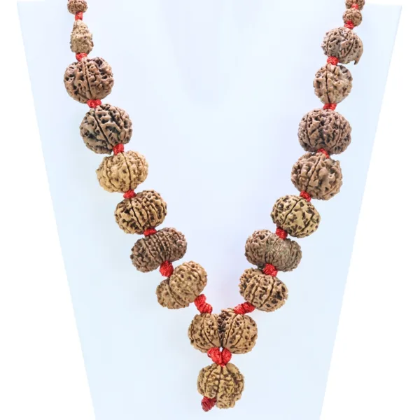 1 to 14 Mukhi Rudraksha Mala ( Siddha Mala ) 31.2585 - Rudraksha Zoom Image